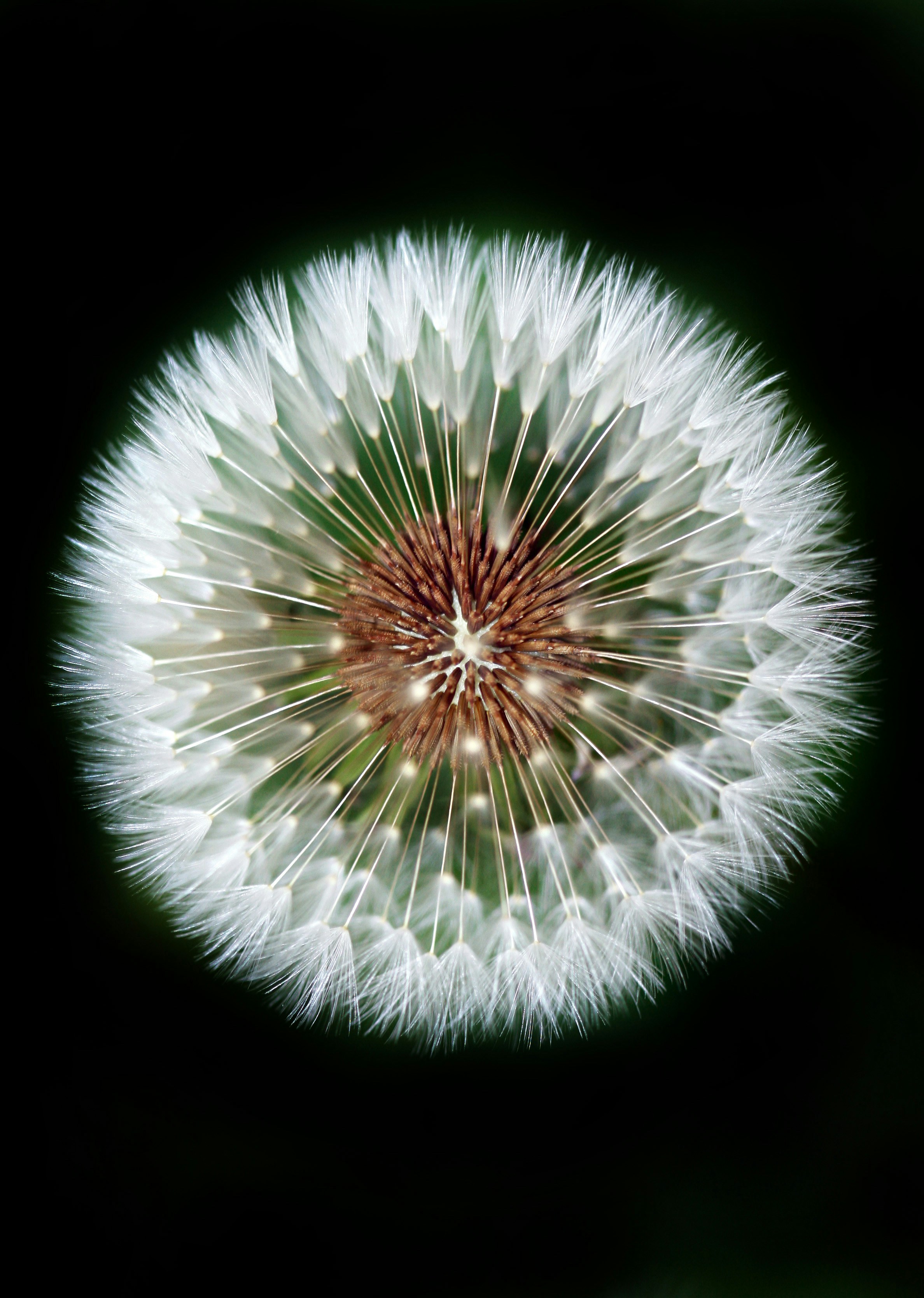 Sacred geometry